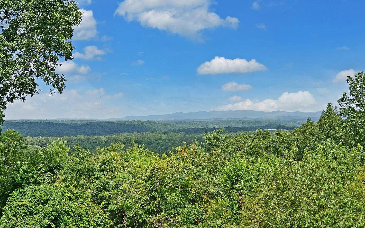 Birds Eye Cabin - Sunset & Starry Retreat Pet Friendly W Private Hottub, Fire Pit And Game Room 埃利杰 外观 照片