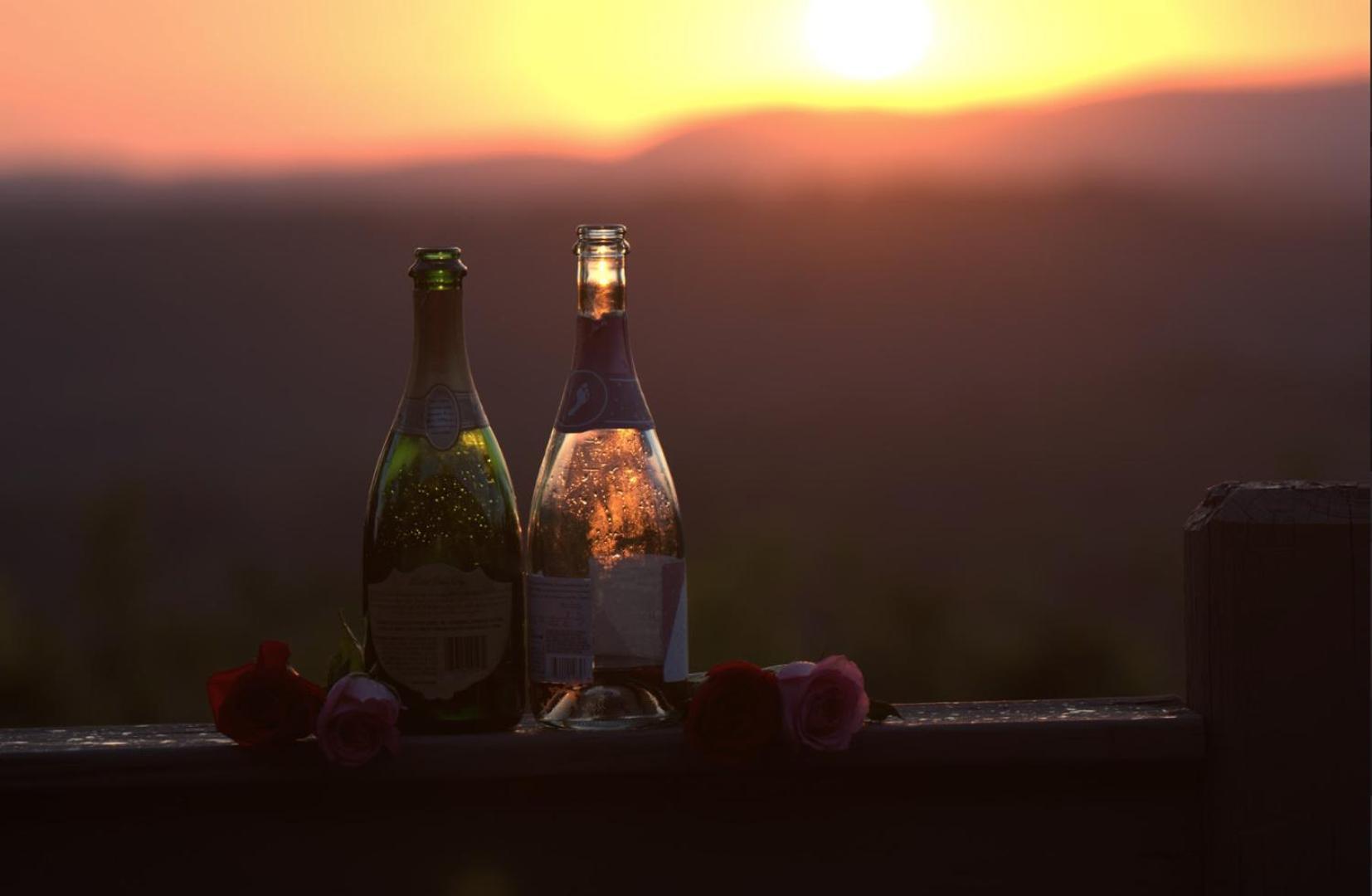 Birds Eye Cabin - Sunset & Starry Retreat Pet Friendly W Private Hottub, Fire Pit And Game Room 埃利杰 外观 照片